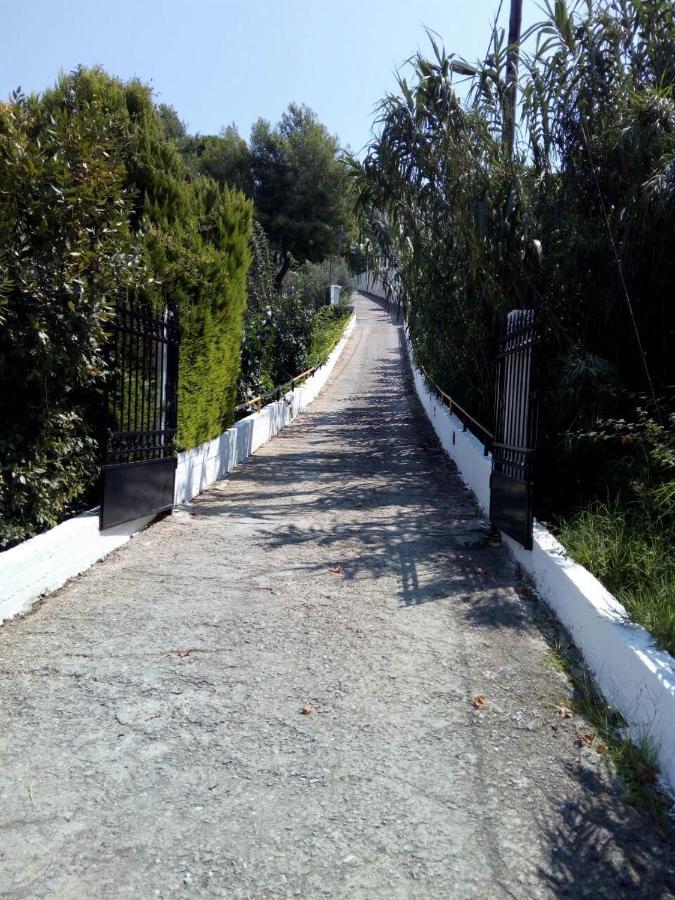 Villa Polytimi Агия Параскеви Екстериор снимка